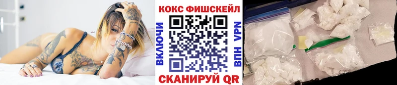Cocaine FishScale  Купить закладки  Трубчевск 
